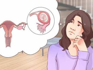 Что такое гравидарный эндометрий