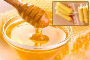 Как сделать тампоны с медом, применение их в гинекологии