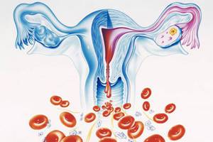 Как восстановить менструацию после резкого похудения