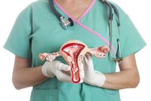 Может ли матка увеличиться перед менструацией