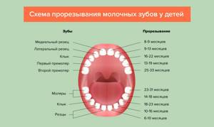 Прорезывание зубов у детей: обзор 5 препаратов и 3 наиболее частые проблемы