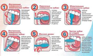 Смена зубов у детей: 5 советов педиатра и 3 правила ухода за зубами