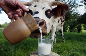 Со скольки месяцев можно давать ребенку коровье молоко: 8 важных правил от врача-педиатра