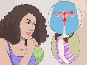Возможность беременности при гиперплазии эндометрия