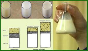 Женское грудное молоко: 8 свойств, польза, состав, строение женской молочной железы
