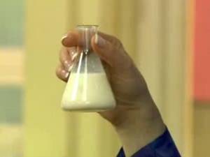Женское грудное молоко: 8 свойств, польза, состав, строение женской молочной железы