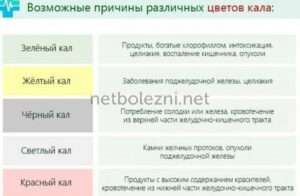 Какой должен быть кал у здорового человека взрослого цвет фото