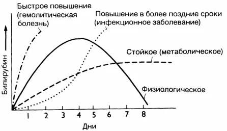 Норма билирубина у новорожденных: причины повышения, расшифровка анализа, 3 совета родителям после выписки
